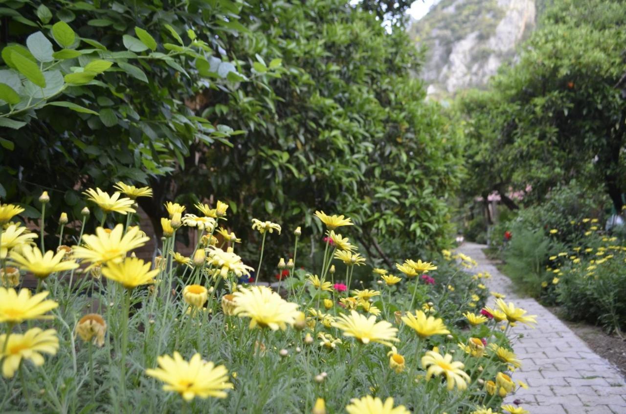 mercan pension Olympos Esterno foto