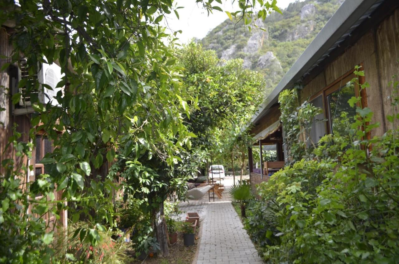 mercan pension Olympos Esterno foto