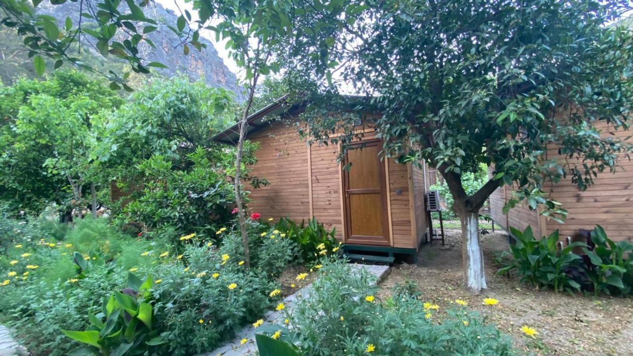 mercan pension Olympos Esterno foto