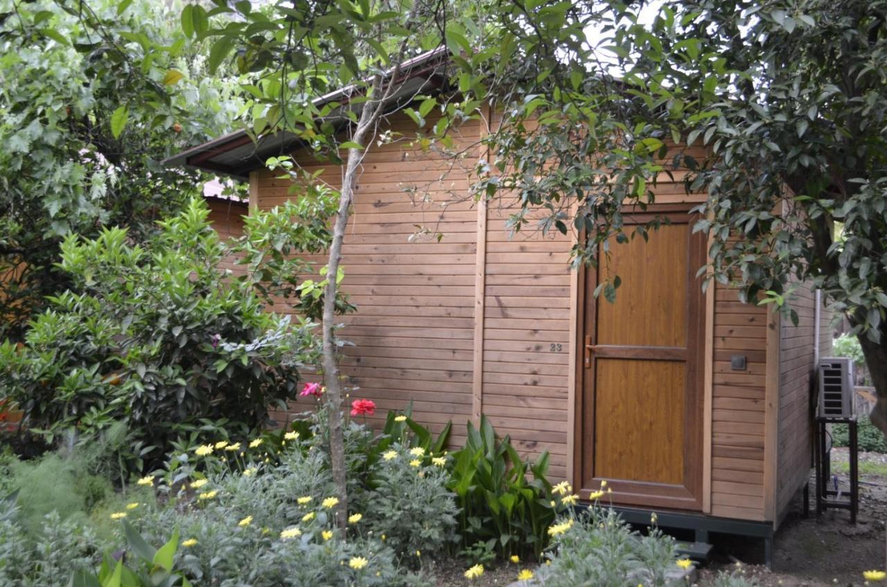 mercan pension Olympos Esterno foto