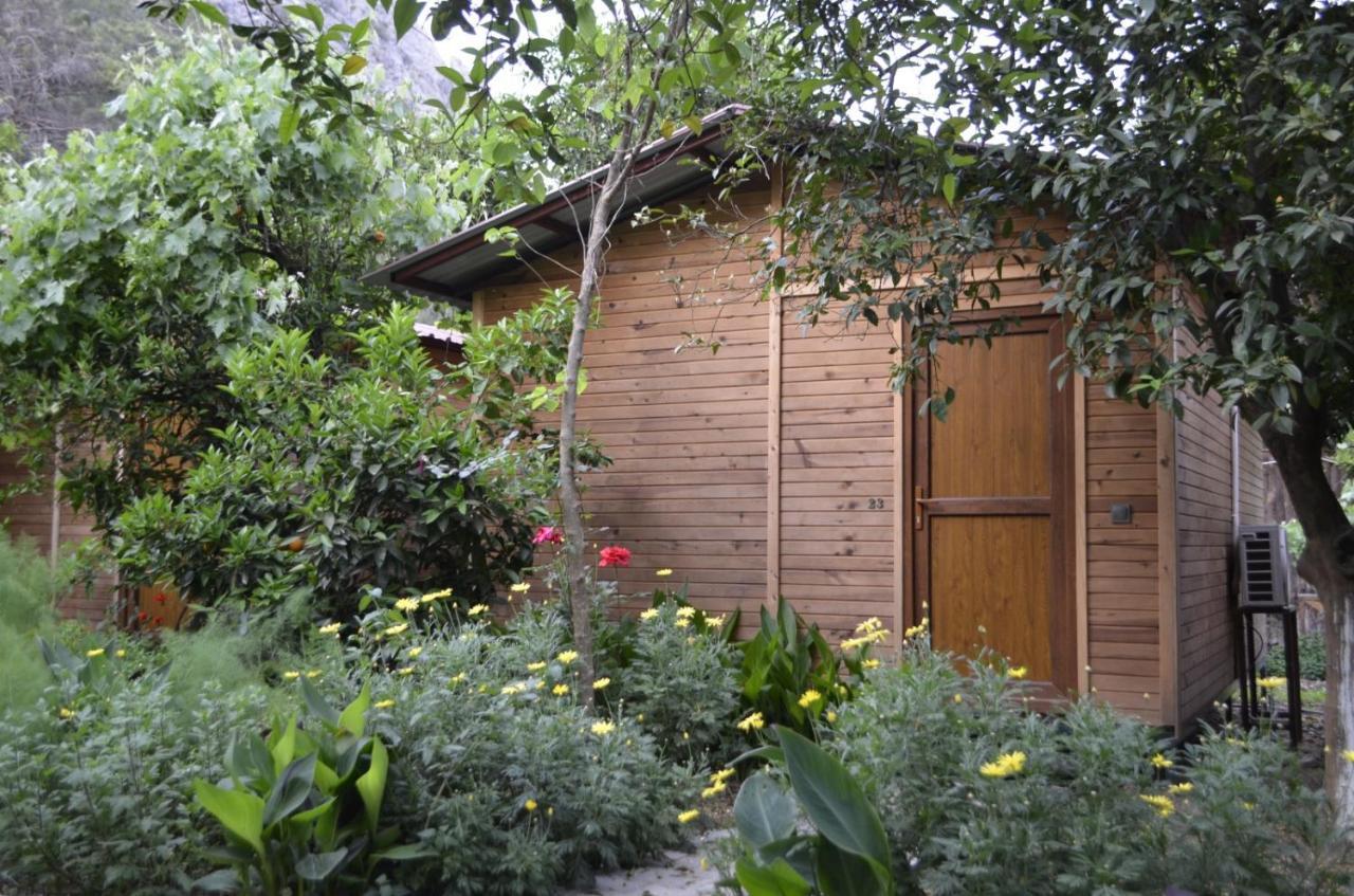 mercan pension Olympos Esterno foto