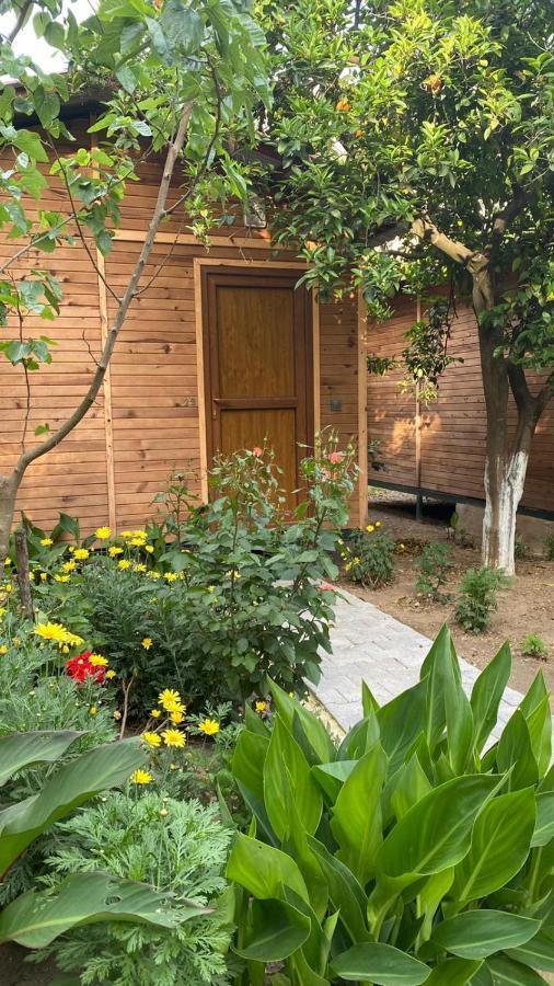 mercan pension Olympos Esterno foto