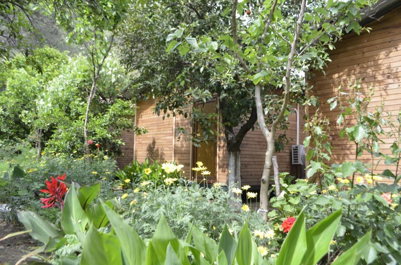 mercan pension Olympos Esterno foto