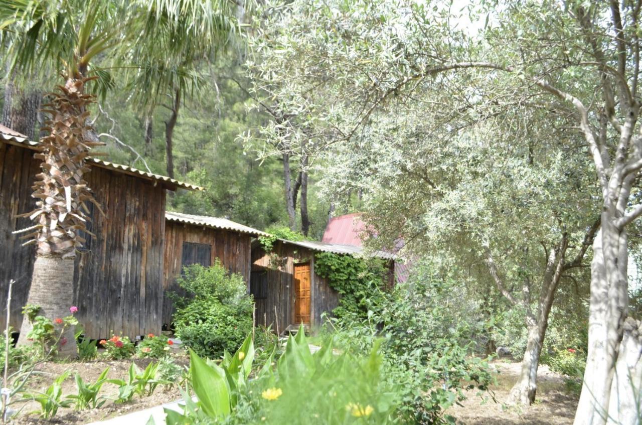 mercan pension Olympos Esterno foto