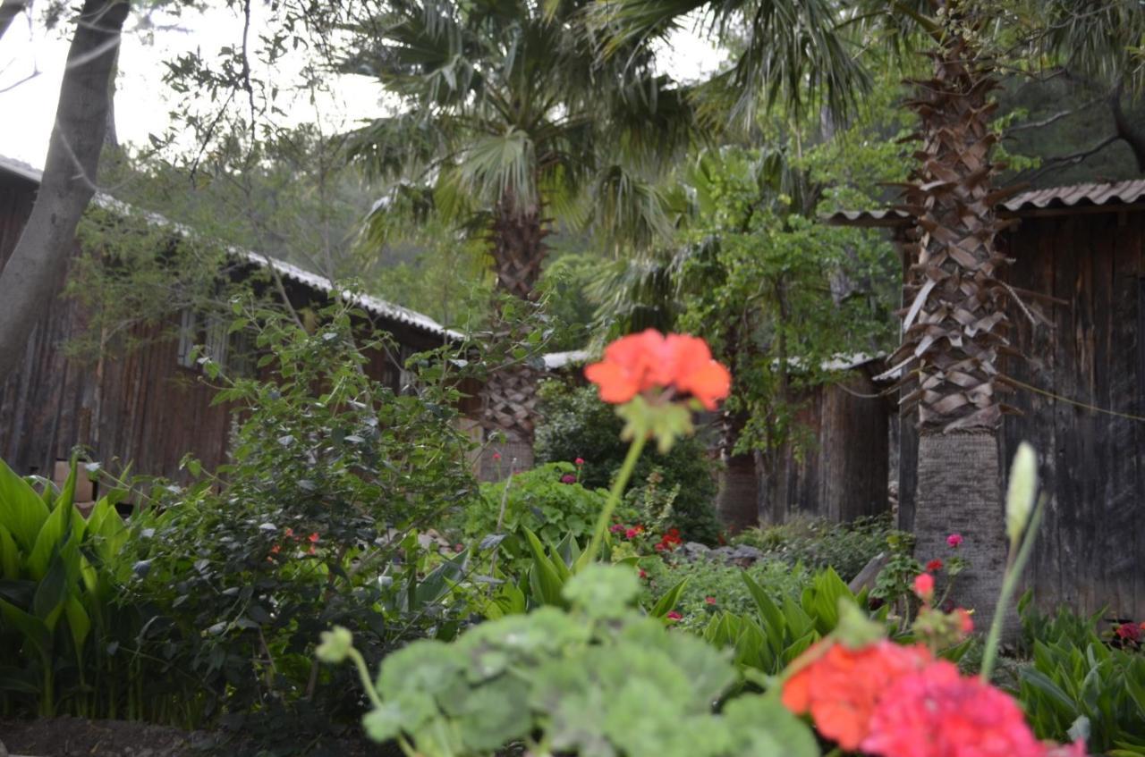 mercan pension Olympos Esterno foto