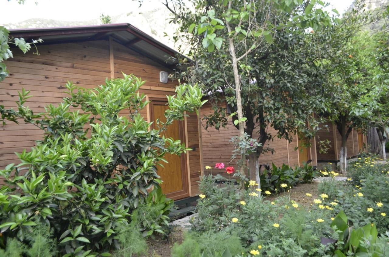 mercan pension Olympos Esterno foto