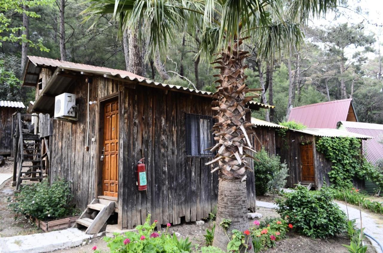 mercan pension Olympos Esterno foto