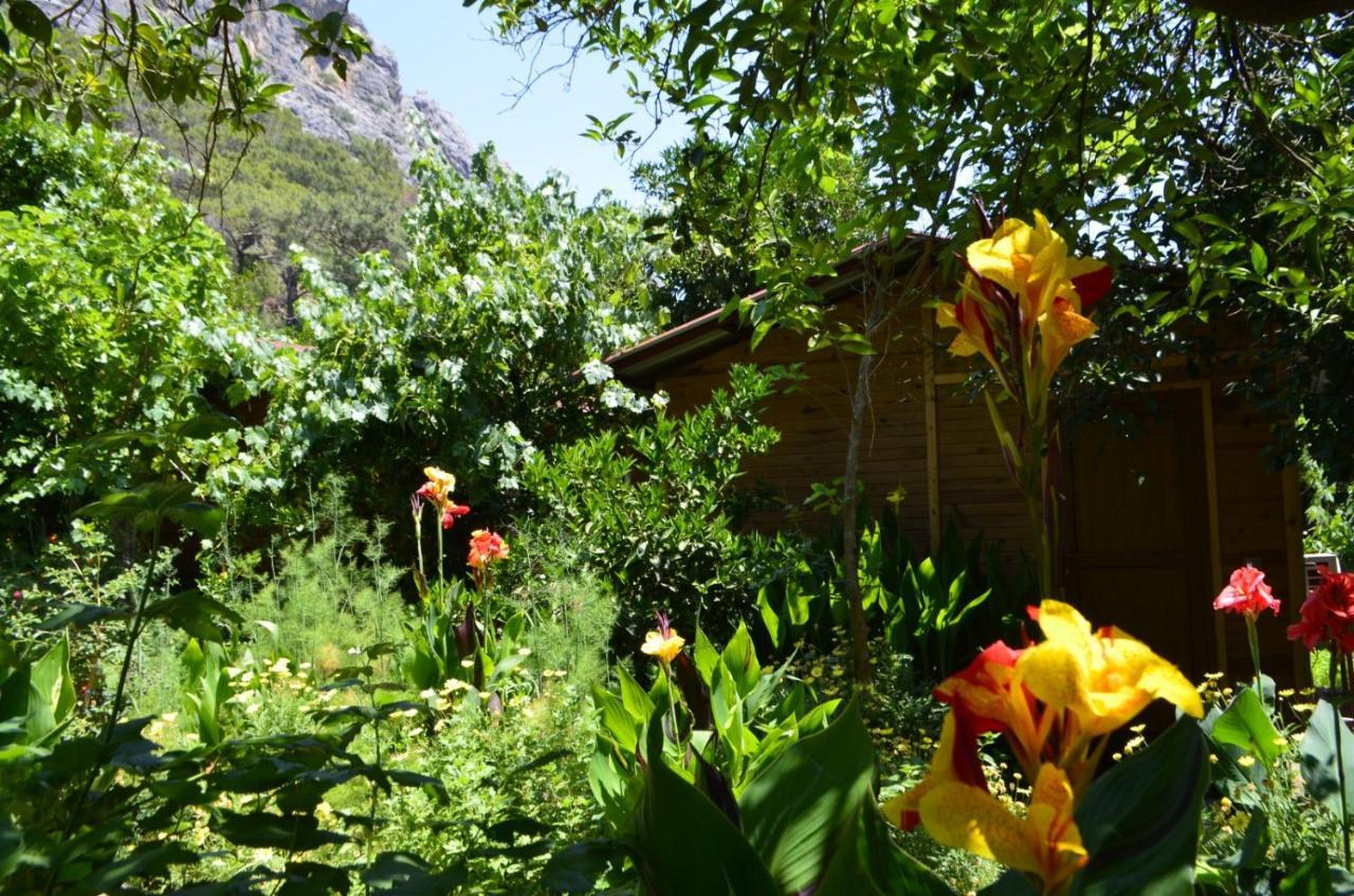 mercan pension Olympos Esterno foto