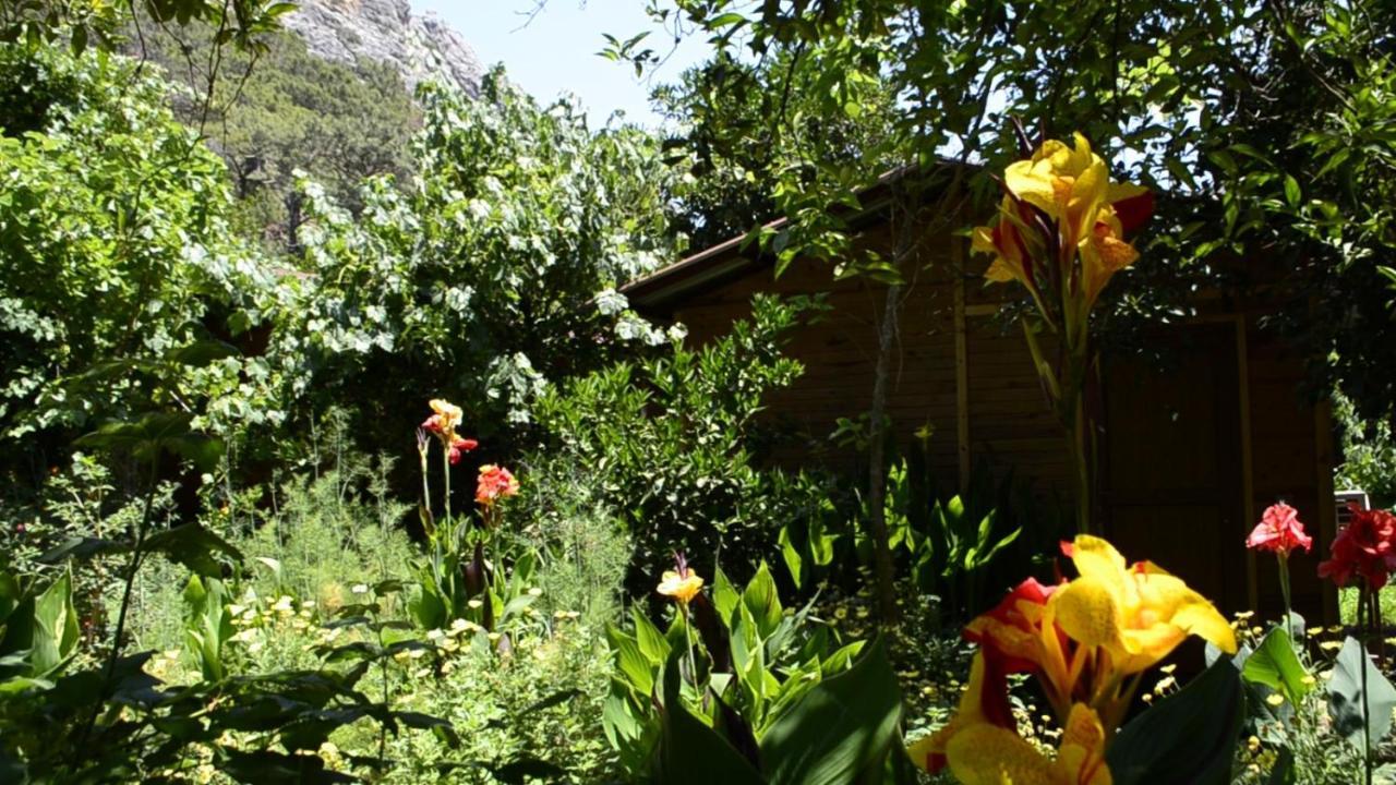 mercan pension Olympos Esterno foto