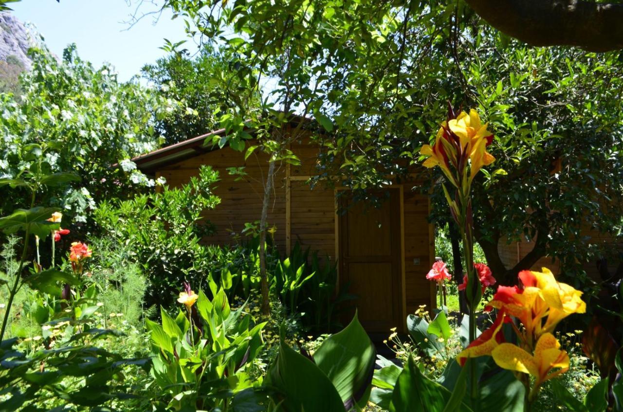 mercan pension Olympos Esterno foto