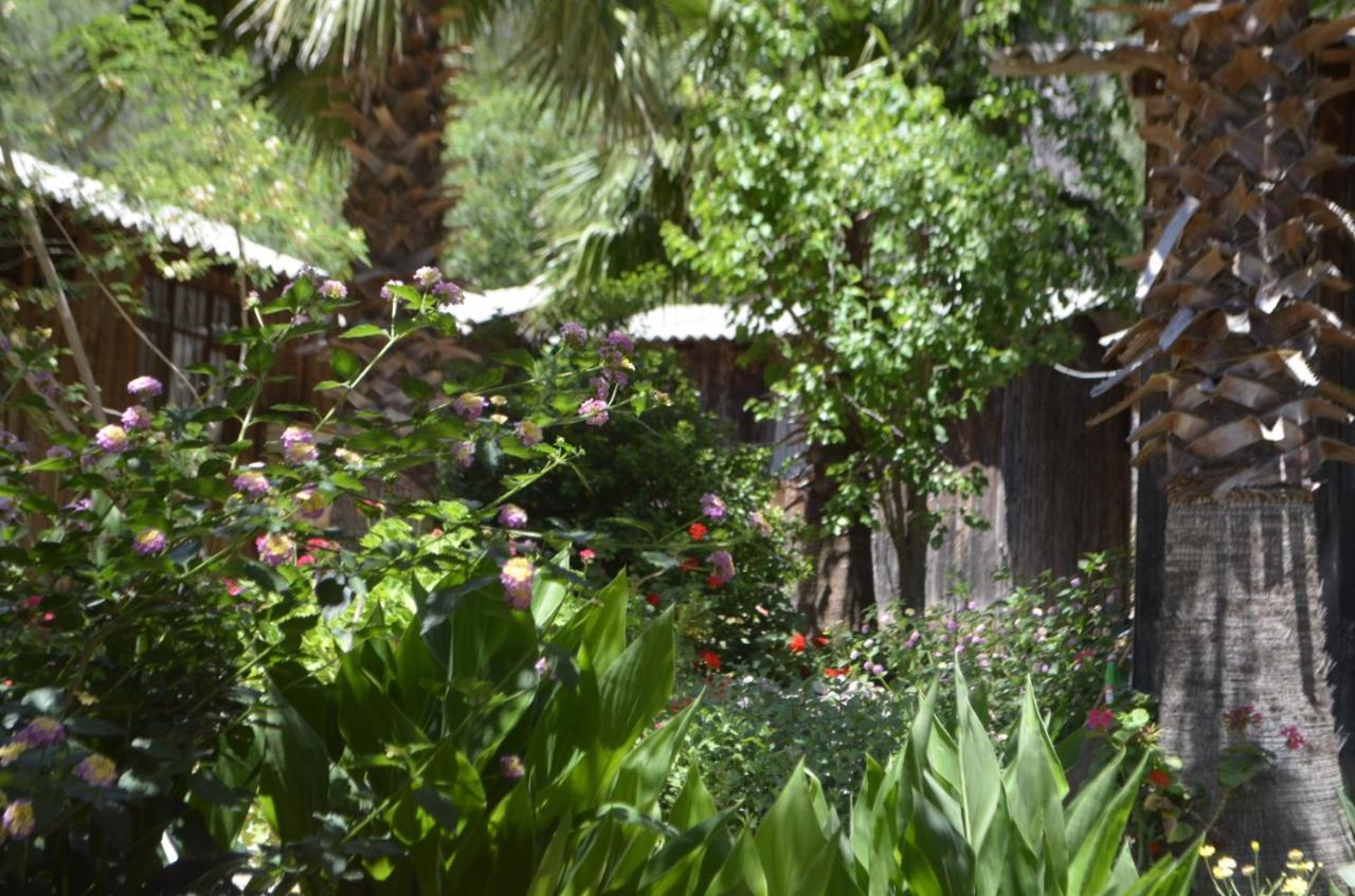 mercan pension Olympos Esterno foto