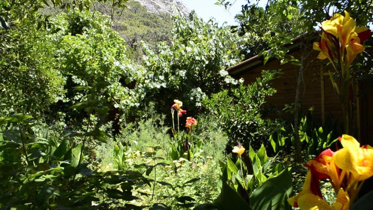 mercan pension Olympos Esterno foto