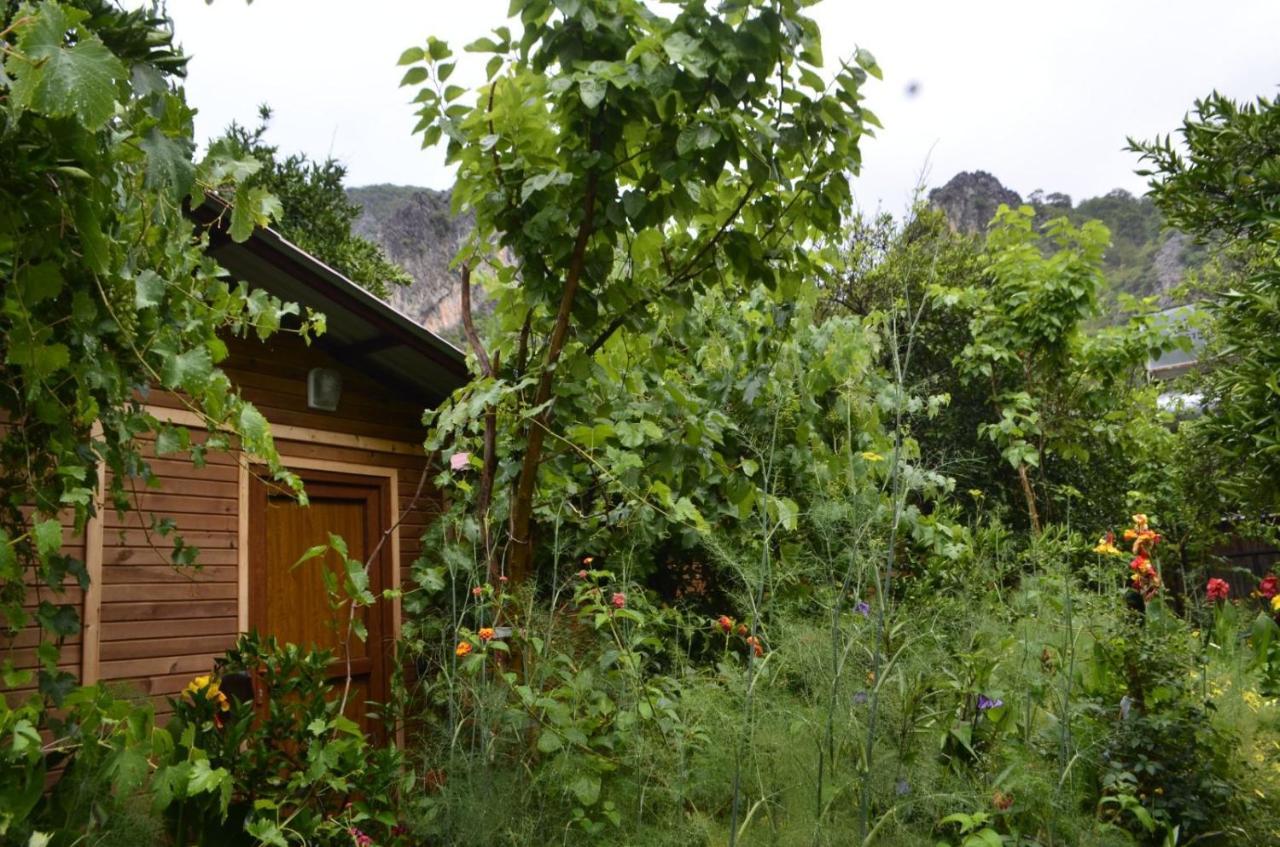 mercan pension Olympos Esterno foto